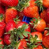 Erdbeeren <small>Mittelfrüh Elsanta<br><i>zweijährig angebaut</i></small>